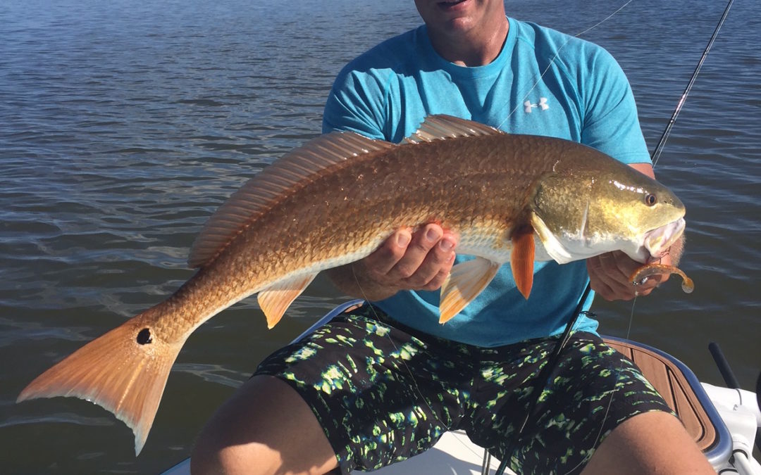Orlando Central Florida Mosquito Lagoon Fishing Report Week of July 14th