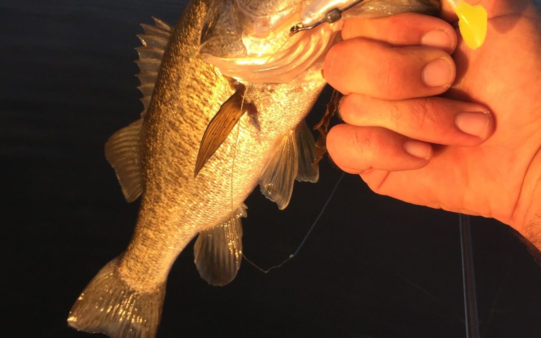 Orlando Fishing Charter Report December 14th